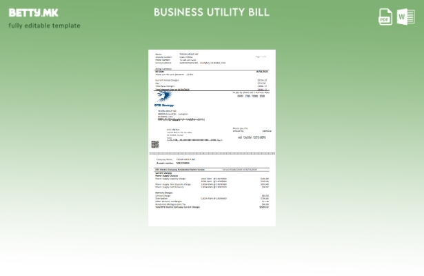 Модерен стил на шаблон на страницата за деловни сметки за комунални услуги DTE E
